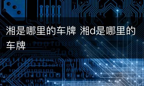湘是哪里的车牌 湘d是哪里的车牌