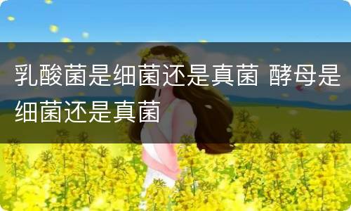 乳酸菌是细菌还是真菌 酵母是细菌还是真菌