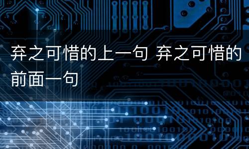 弃之可惜的上一句 弃之可惜的前面一句