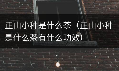 正山小种是什么茶（正山小种是什么茶有什么功效）