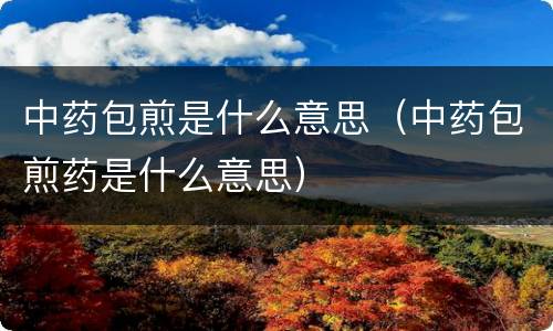 中药包煎是什么意思（中药包煎药是什么意思）