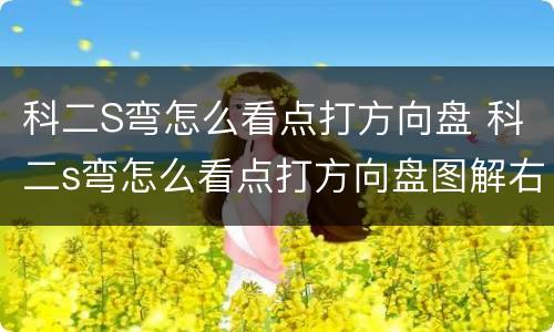 科二S弯怎么看点打方向盘 科二s弯怎么看点打方向盘图解右弯