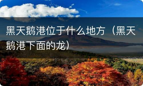 黑天鹅港位于什么地方（黑天鹅港下面的龙）