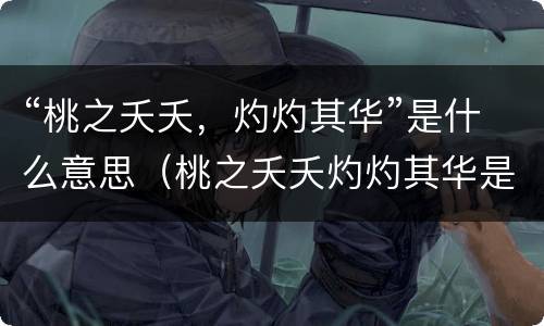 “桃之夭夭，灼灼其华”是什么意思（桃之夭夭灼灼其华是什么意思啊）