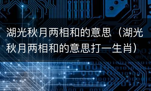 湖光秋月两相和的意思（湖光秋月两相和的意思打一生肖）