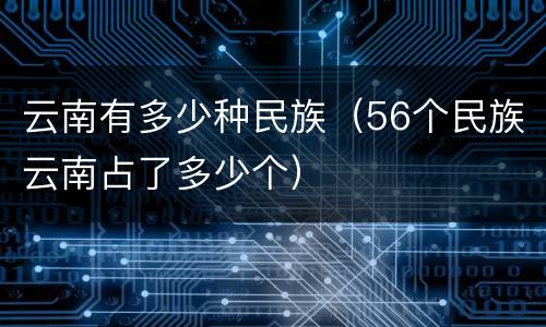 云南有多少种民族（56个民族云南占了多少个）
