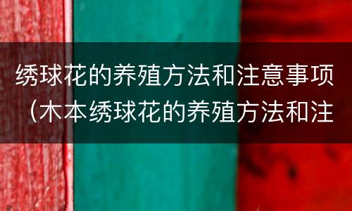 绣球花的养殖方法和注意事项（木本绣球花的养殖方法和注意事项）