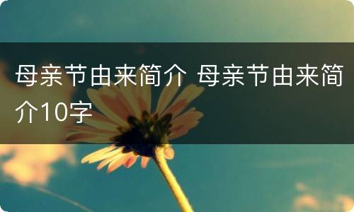 母亲节由来简介 母亲节由来简介10字
