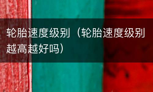 轮胎速度级别（轮胎速度级别越高越好吗）