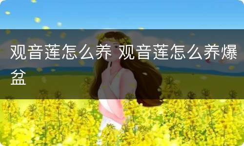 观音莲怎么养 观音莲怎么养爆盆