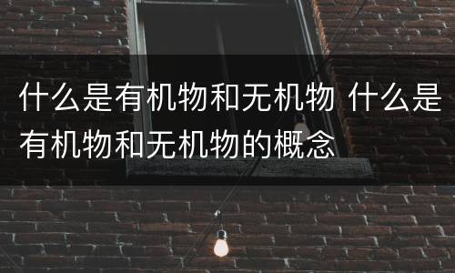 什么是有机物和无机物 什么是有机物和无机物的概念