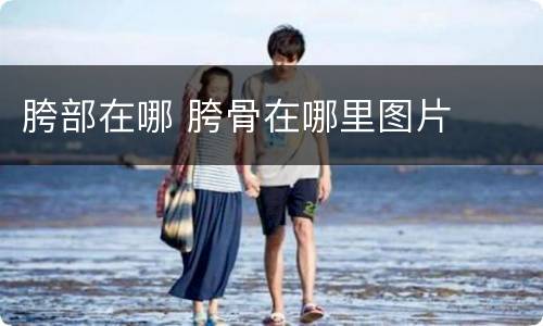 胯部在哪 胯骨在哪里图片