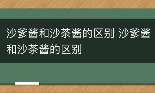 沙爹酱和沙茶酱的区别 沙爹酱和沙茶酱的区别