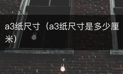 a3纸尺寸（a3纸尺寸是多少厘米）