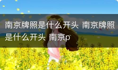 南京牌照是什么开头 南京牌照是什么开头 南京p