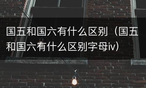 国五和国六有什么区别（国五和国六有什么区别字母iv）