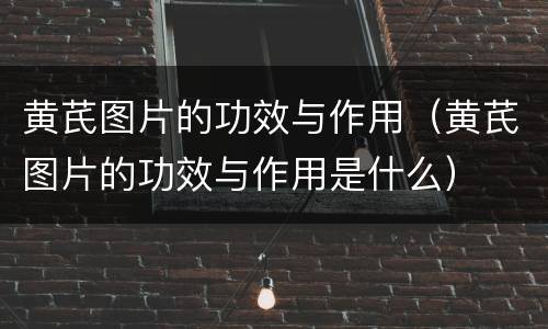 黄芪图片的功效与作用（黄芪图片的功效与作用是什么）