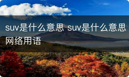 suv是什么意思 suv是什么意思网络用语