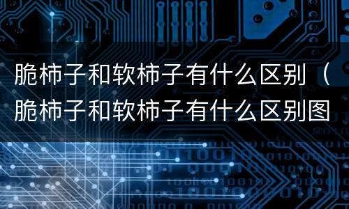 脆柿子和软柿子有什么区别（脆柿子和软柿子有什么区别图片）