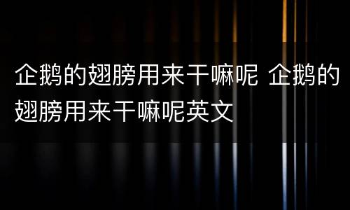 企鹅的翅膀用来干嘛呢 企鹅的翅膀用来干嘛呢英文