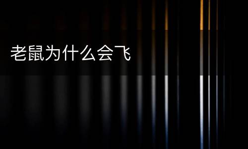 老鼠为什么会飞