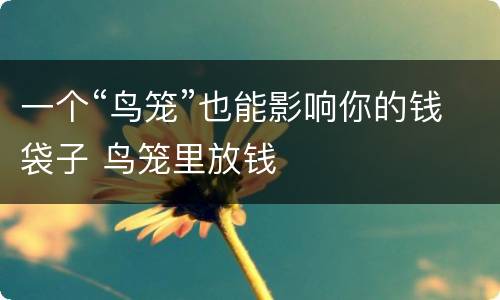 一个“鸟笼”也能影响你的钱袋子 鸟笼里放钱