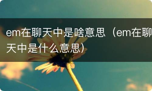 em在聊天中是啥意思（em在聊天中是什么意思）