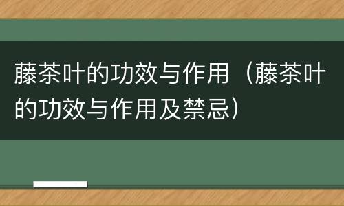 藤茶叶的功效与作用（藤茶叶的功效与作用及禁忌）