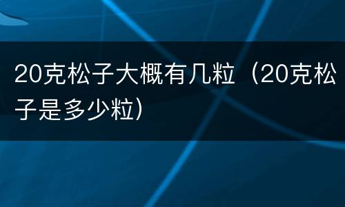 20克松子大概有几粒（20克松子是多少粒）