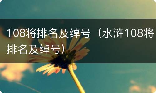 108将排名及绰号（水浒108将排名及绰号）