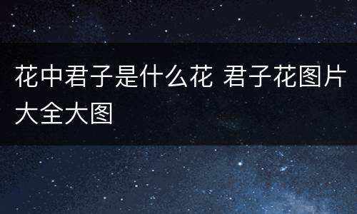 花中君子是什么花 君子花图片大全大图