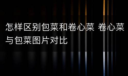 怎样区别包菜和卷心菜 卷心菜与包菜图片对比