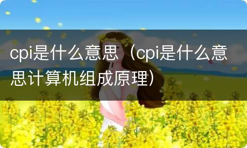 cpi是什么意思（cpi是什么意思计算机组成原理）