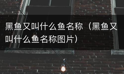 黑鱼又叫什么鱼名称（黑鱼又叫什么鱼名称图片）