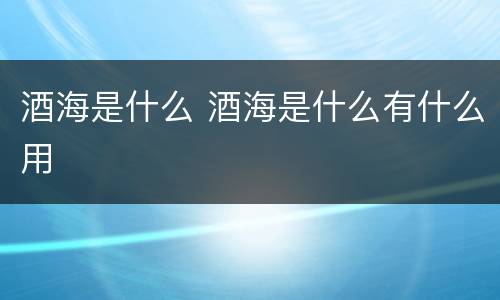 酒海是什么 酒海是什么有什么用