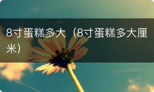 8寸蛋糕多大（8寸蛋糕多大厘米）