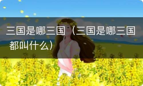 三国是哪三国（三国是哪三国 都叫什么）