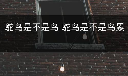 鸵鸟是不是鸟 鸵鸟是不是鸟累