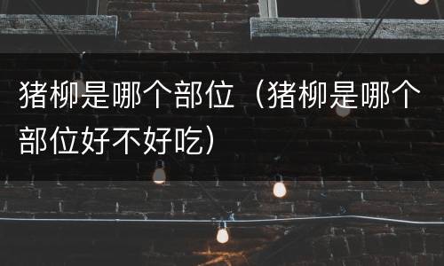猪柳是哪个部位（猪柳是哪个部位好不好吃）