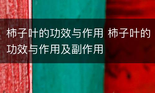 柿子叶的功效与作用 柿子叶的功效与作用及副作用