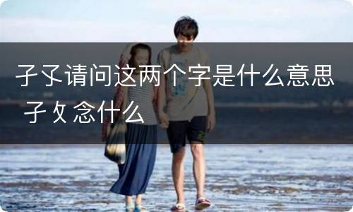 孑孓请问这两个字是什么意思 孑攵念什么