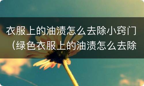 衣服上的油渍怎么去除小窍门（绿色衣服上的油渍怎么去除小窍门）