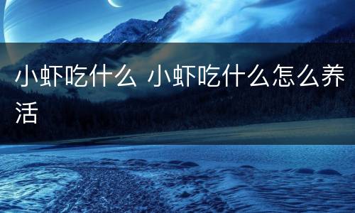 小虾吃什么 小虾吃什么怎么养活