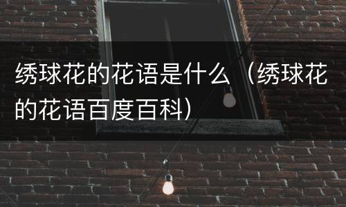 绣球花的花语是什么（绣球花的花语百度百科）