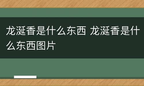 龙涎香是什么东西 龙涎香是什么东西图片