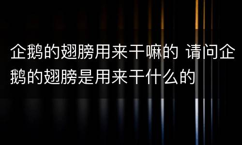 企鹅的翅膀用来干嘛的 请问企鹅的翅膀是用来干什么的