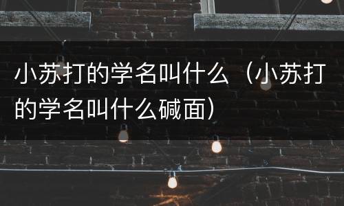 小苏打的学名叫什么（小苏打的学名叫什么碱面）