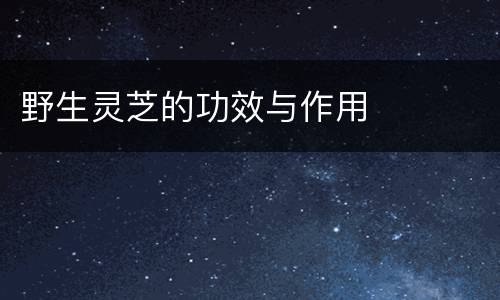 野生灵芝的功效与作用