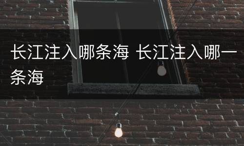 长江注入哪条海 长江注入哪一条海