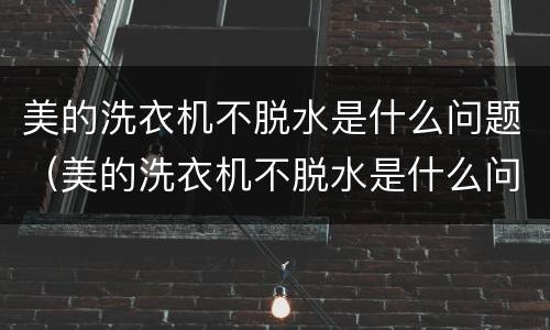 美的洗衣机不脱水是什么问题（美的洗衣机不脱水是什么问题,显示E4）